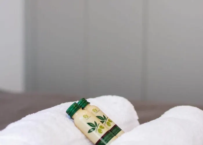 Apartamento Le Royal Du Centre Nancy